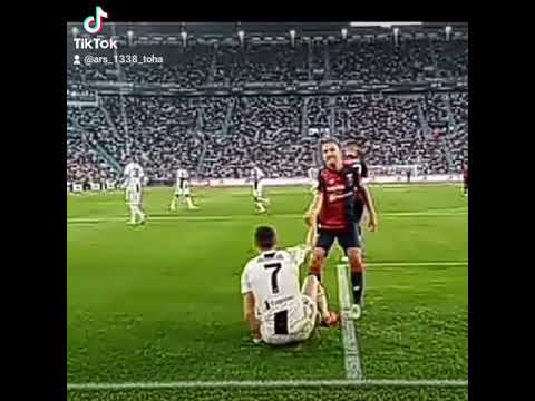 Попка - YouTube