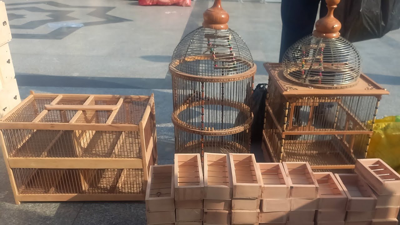 التحف والحلويات مش عند اي حد اسعار العشوش والشيالات والاقفاص العمولة عند الشيخ جمال السبت ٦ابريل