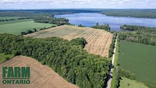PT LT 38 & 39 CON 9, Cobden | Farms For Sale In Ontario