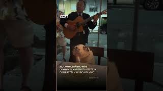 Perrito festeja su cumpleaños con todo y música en vivo