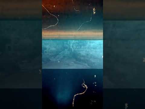 Abandoned WW2 on the Cliffside #northwales #fypシ #abandoned #ww2 #Gunnaryschool #History #WW2Bunker