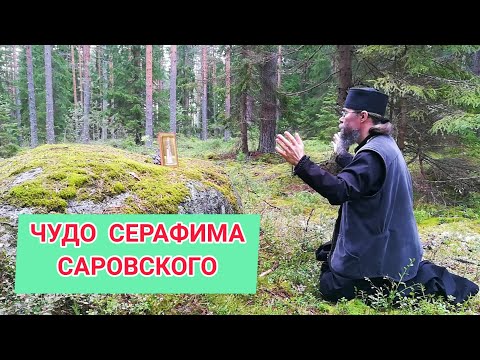 Чудо Серафима Саровского: Преподобный Серафим Саровский - Современные Чудеса.