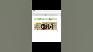 How to only hide number in Excel #excel  #exceltips #exceltricks #excelshorts #exceltutorial