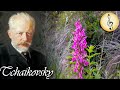 Tchaikovsky - Waltz of the Flowers (The Nutcracker Suite) | Best Classical Music