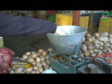 Video: Cultivăm Oa Doua Recoltă De Cartofi