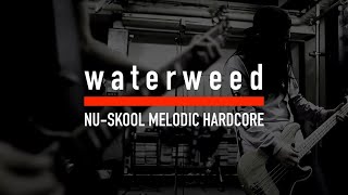 waterweed - Bitterness(Studio Session)