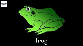 Parts of the Frog - Montessori Zoology Presentation