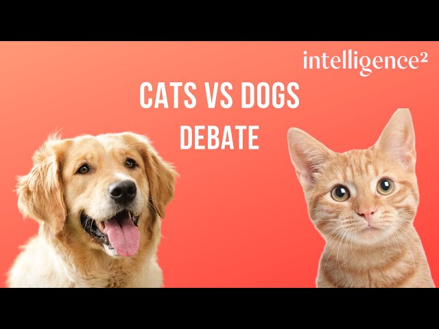 Talk it out: Cats vs dogs