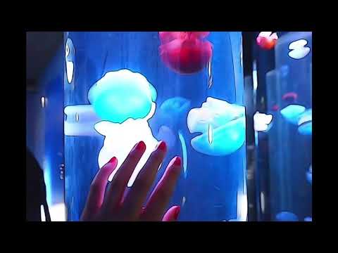 【cover】カエルノウタ / 森七菜