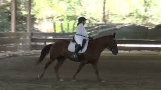 Starr & Laura Michelle Estrada - Training Level, Test 2 - ICC Summer Rated Show 2022