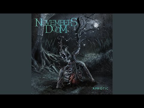 What Could Have Been - Novembers Doom