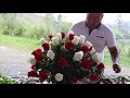 Cómo hacer un arreglo floral con rosas Rojas y Blancas