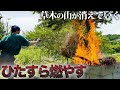 【ストレス解消】気持ちが良い程どんどん燃えてく!!高火力で効率アップ【99日目】