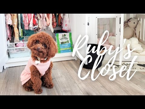 Video: De accessoires van ModCloth voor dieren zijn perfect voor je kast en je huis