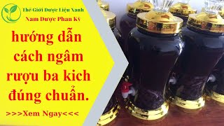 Hướng dẫn cách ngâm rượu bakich đúng _ chuẩn, tốt nhất