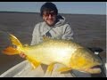 Pesca Dorado 16 kgs. Monte Caseros con Nego Monges (HD)