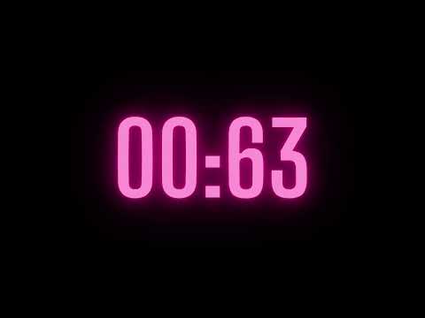93 Second Timer with Alarm
