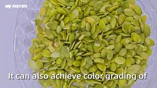 pumpkin seed sorting solutions