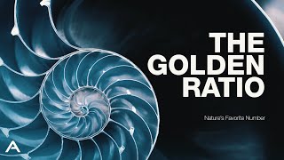 The Golden Ratio: Nature's Favorite Number