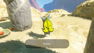 Korok seeds Rayne Highlands Tabantha Tower Zelda BOTW