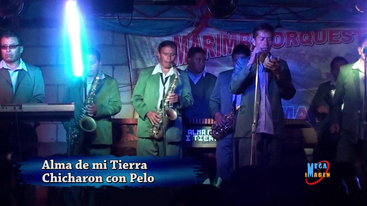 Marimba Orquesta Alma de mi Tierra BAILANDO YouTube
