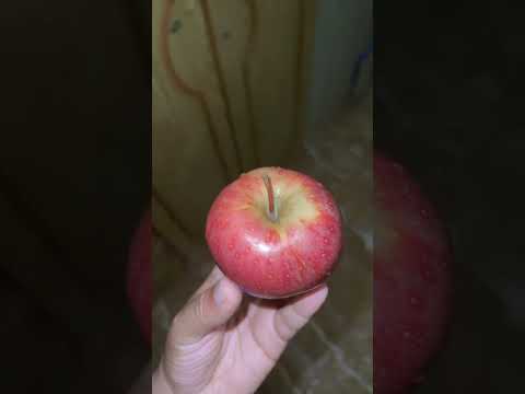 من فوائد التفاح