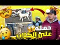 VLOG 014 حملة على الكلاب في سوق القريعة البوليس بغاو ياخدو ليا كلبي 