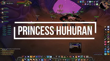 AQ40 Strategy - Princess Huhuran (Classic Wow)