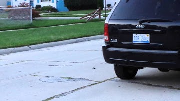 Red cat Backdraft 3.5