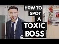 How to Spot a Toxic Boss (Signs of a Bad Manager and a Terrible Leader)