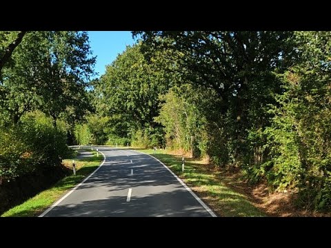 Дальнобой по Германии в прямом эфире!