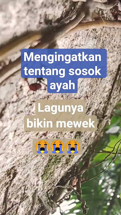 Lagunya itu loh 😭❗❗#Tomyjepissasong #lagu #musikindonesia #nostalgia