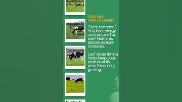 Wondering when to graze your pastures?