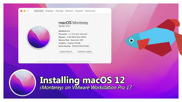 Installing macOS 12 Monterey on VMware Workstation Pro 17