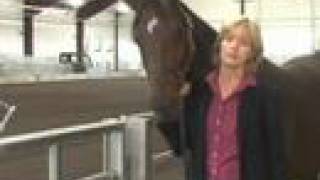 U Of M Unveils New Equine Center