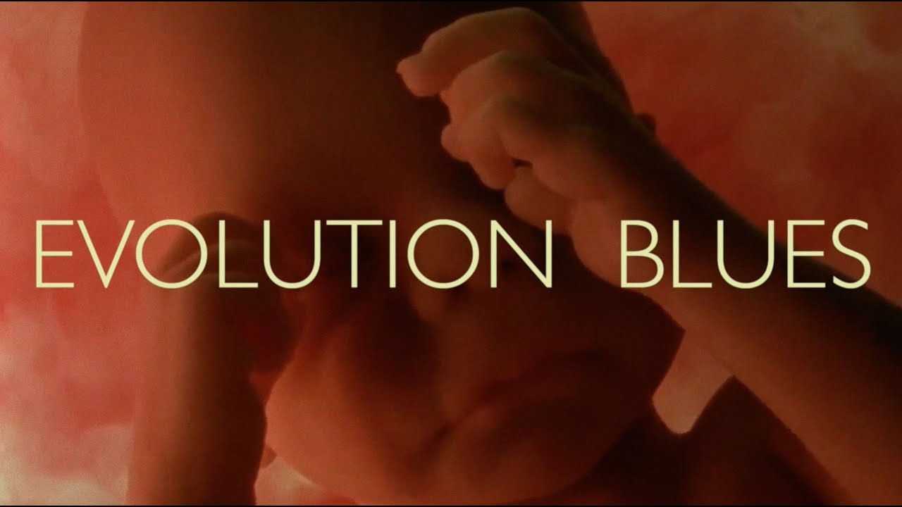 Evolution Blues, by Clive Butler