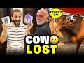 New Cow Lost ho Gai 😥💔 | Rajab Family