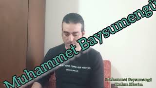 Muhammet Baysumengü / Kırılsın Ellerim ( PA 800 ) Resimi