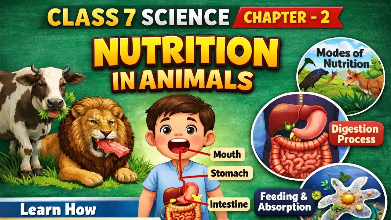 "Nutrition In Animals"🐅 Class VII Science Ch - 2 Explained!🇮🇳 - YouTube