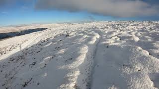 Winter Run