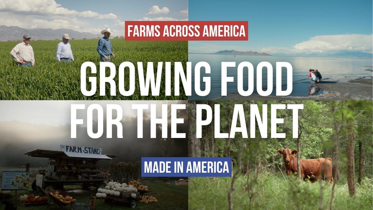 Can Regenerative Farming Revive the Earth and Feed the World? - YouTube