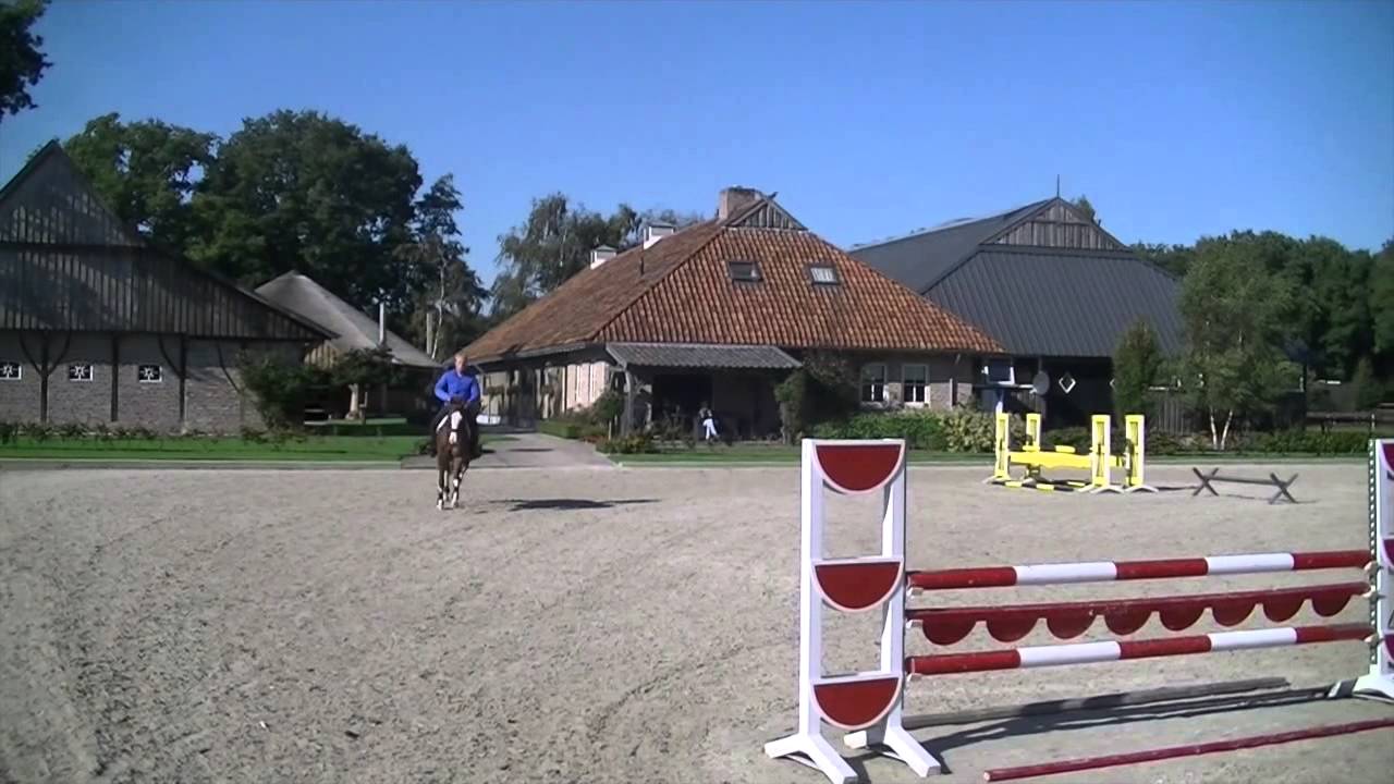 Grace, Carambole x Pythagoras (Sold)