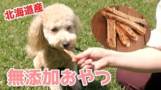 【犬 おやつ】北海道から無添加で安心安全なペットおやつをお届けしています。