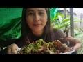 Beautiful Girl Cooking How To Cooking Fried Crab (part86)