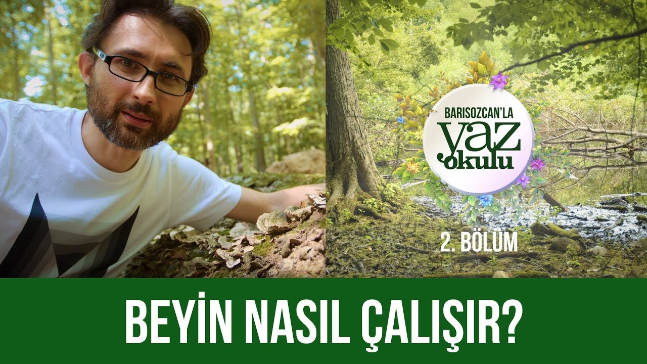 Beyin Nasil Calisir Yaz Okulu 2 Baris Ozcan