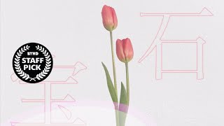 逸話｜Motion Graphics Work｜BYND