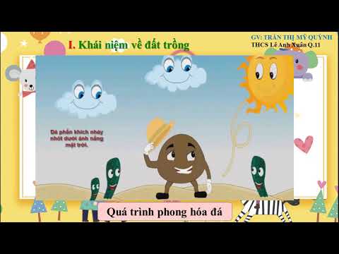 Khái niệm về đất trồng và thành phần của đất trồng
