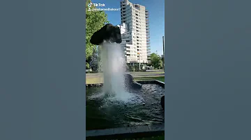 عادل محسن أول ماشفت طولك على الباب وأول ما أجت عينك بعيني 