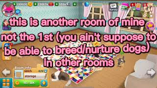 dog town my basket disappeared screenshot 5