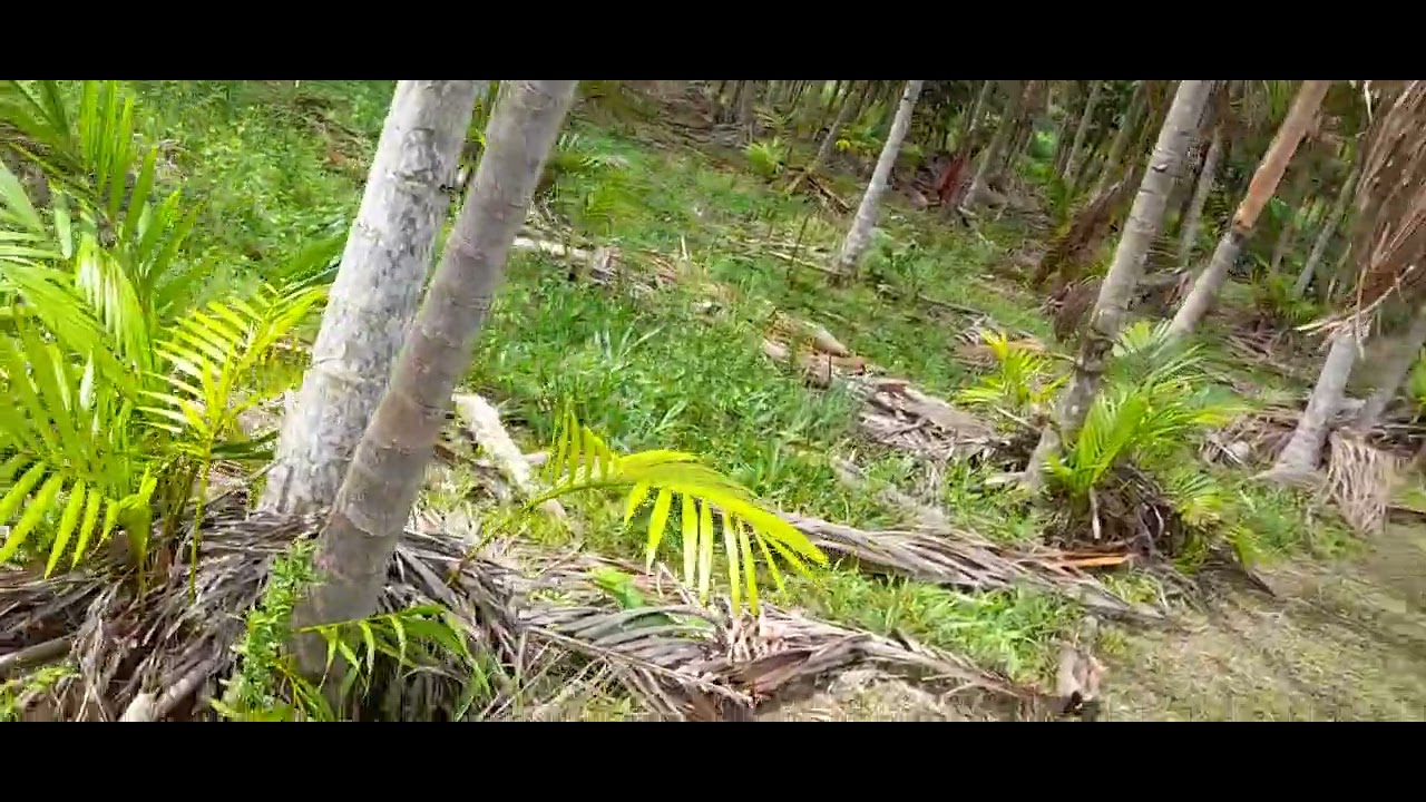 22 de fevereiro de 2026